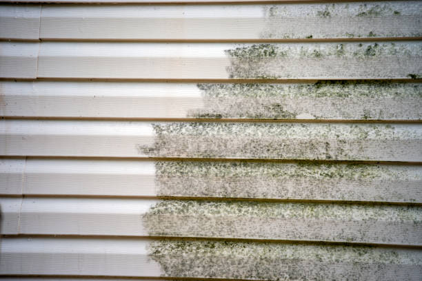 Siding Removal and Disposal in Franklin, KY